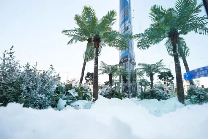 快閃店活動策劃暖了一生的陪伴，用一場22度的雪體驗了白頭到老
