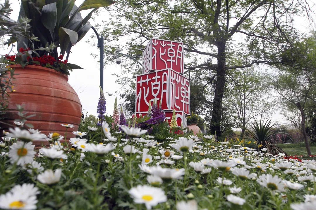 亂花漸欲迷人眼，全新西溪花朝節(jié)展覽活動(dòng)與你來一場(chǎng)春天的約會(huì)