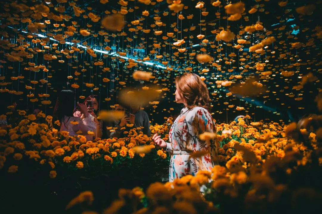 網紅打卡新地標：最Instagrammable主題展覽活動刷爆社交媒體圈