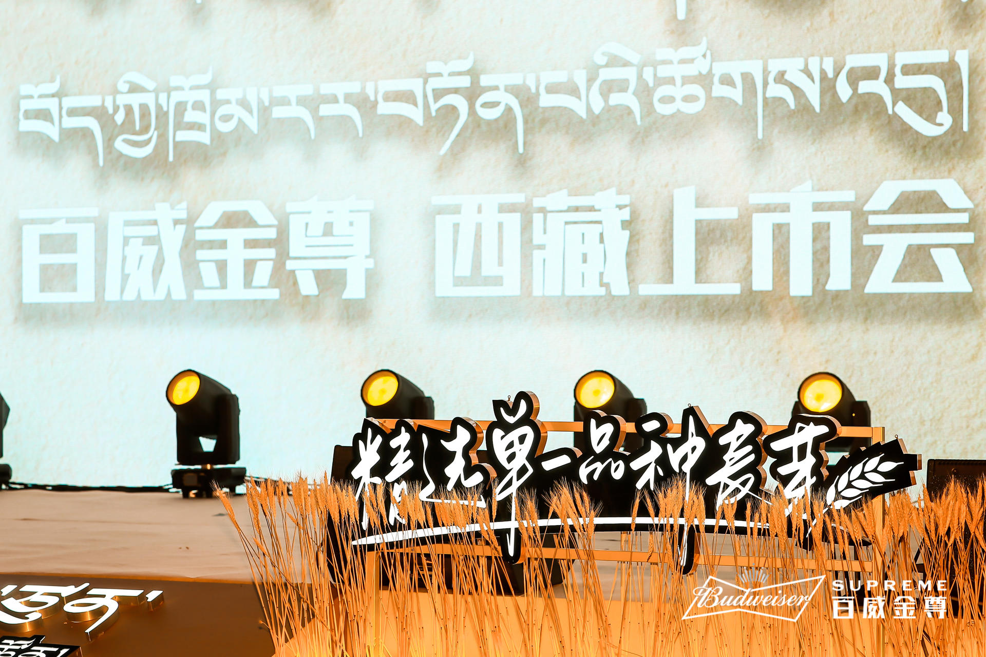 百威金尊西藏上市發(fā)布會活動策劃用心定制，現(xiàn)場麥芽裝飾盡享豐收