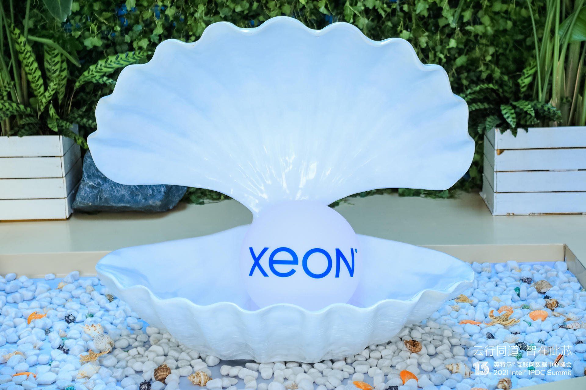 英特爾互聯(lián)網(wǎng)數(shù)據(jù)中心峰會活動策劃解鎖 “芯” 憧憬，織就新 “云” 圖