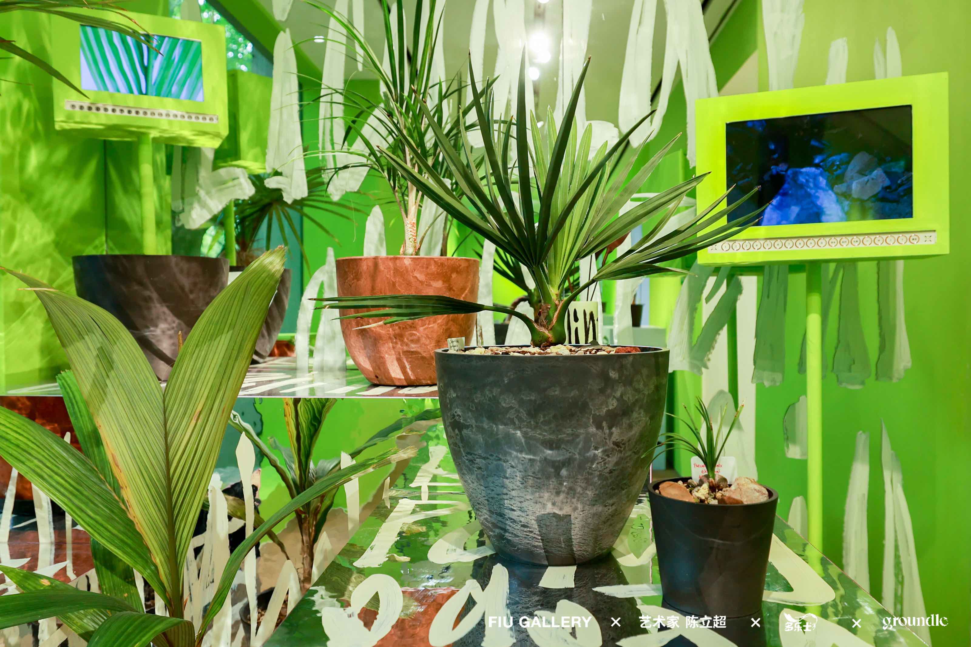 PLANTS HUMAN藝術(shù)展覽活動策劃把展廳造成了一個城市綠洲